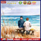 20X20cm Back View of Old Couple Frameless Oil Paint By Numbers DIY Painting K