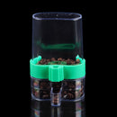 Parrot Feeder Cockatiel Water Dispenser Parakeet Bird Food Feeder Automatic