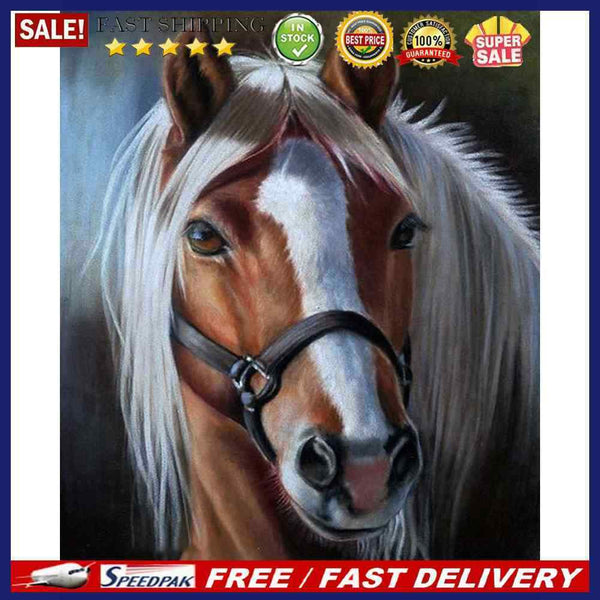 Hand Painted Oil Paint by Numbers DIY Wild Animal Drawing Wall Decoration G