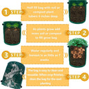 Plant Grow Bags with Flap, Potato Planting Pouch for Balcony, Indoor, Outdoor