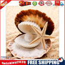 5D Diamond Painting Embroidery DIY Cross Stitch Needlework Home Decor Gift