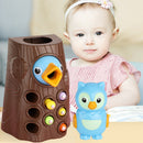Magnetic Woodpecker Catching Worms Feeding Toys Game Set Montessori (B)
