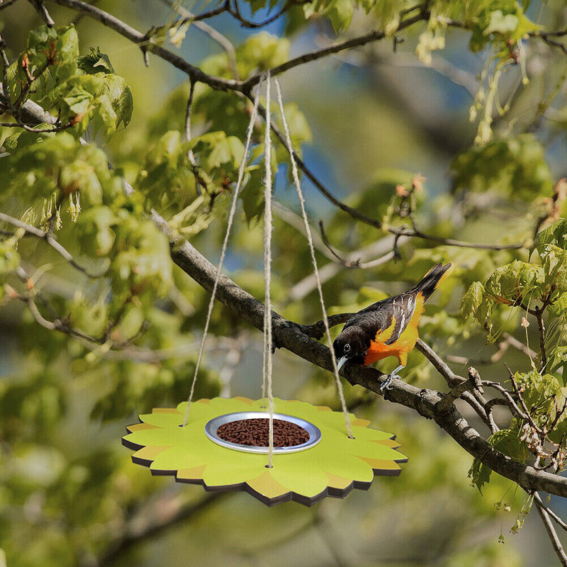 Outdoor Bird Feeder Stainless Steel Plate Hanging Feeder Garden Yard Decoration