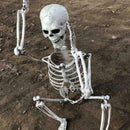 Halloween Props Skeleton Hangings Prop Haunted House HOT~ W2U4 Decoration E6B4