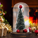 Christmas Tree LED Glass Dome Bottle Lamp USB Bedroom Night Light Decorations