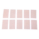 1200pcs Acupuncture Needle Ear Seeds Vaccaria Seeds Ear Massage Stickers