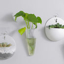 Plant Hanger Flower Pot Wall Hanging Bonsai Planter Garden Home Decor (C) Newly