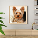 40x40cm Cat Dogs Canvas Painted Oil Paint By Numbers Wall Modern Bedroom Deco
