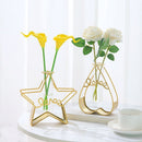 Triangle Rectangle Pentagram Heart Iron Art Glass Test Tube Hydroponic Vase
