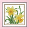 Partial Cross Stitch Kit March 14CT Counted DIY Needlework Decor (H425)