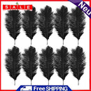 10pcs Fluffy Ostrich Feather Family Room DIY Jewelry Elegant Feather Decor Feather