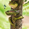 Outdoor Bird Feeding Basin Frog Tree Statue Birdbaths Feeders for Animal