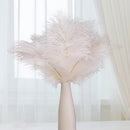 10pcs Fluffy Ostrich Feather Wedding Party Plumes Feather 15-30cm (White)