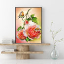 Oil Paint By Numbers Beautiful Flowers Coloring Picture Drawing