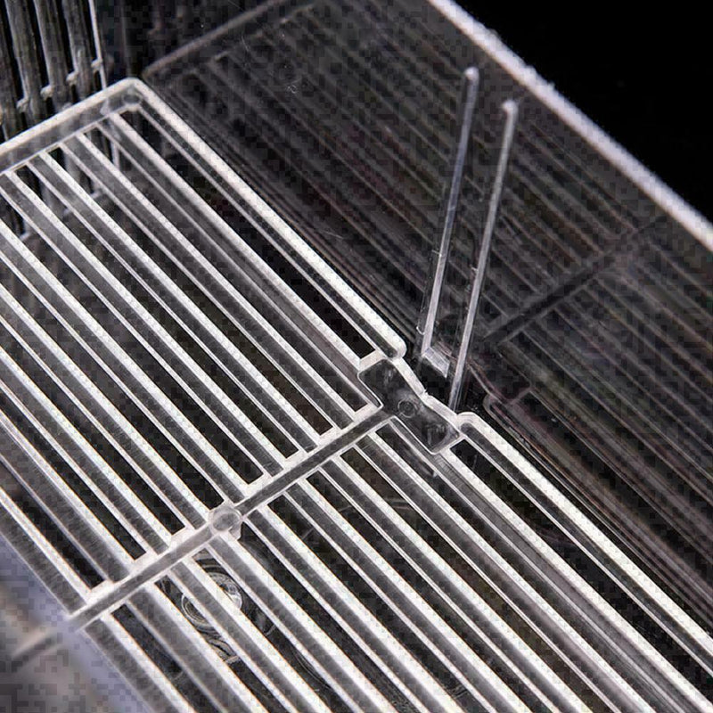 Aquarium Fish Tank Guppy Double Breeding Breeder Rearing C L6C0 Clear X6K0 A1G7