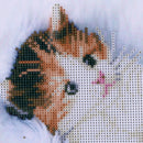 White Adorable Cat 5D Diamond DIY Painting Craft Kit Home Decor