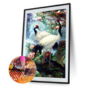 DIY Full Drill Diamond Painting Crane Cross Stitch Embroidery Mosaic Kit