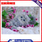 DIY Diamond Painting Cat 5D Diamond Embroidery Animal Kitten Mosaic Home Decor C