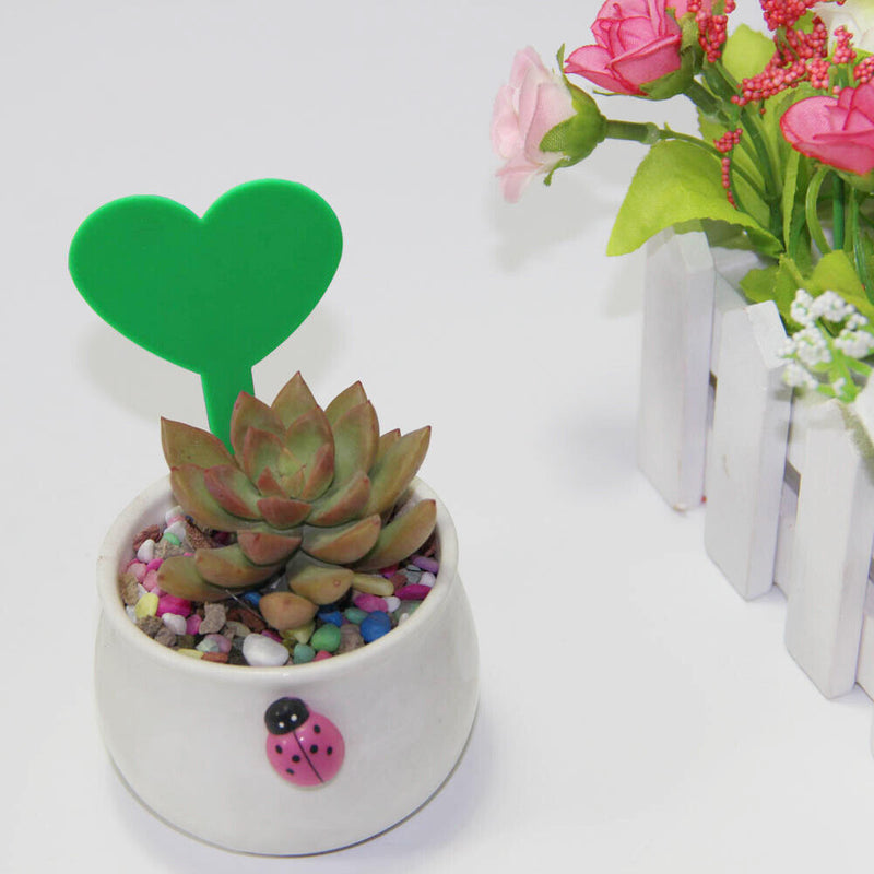 100pcs Flower Heart Shape Fleshy Label Insertion Landscape Name Plant Marker