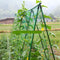 Garden Plants Climbing Netting Nylon Flower Vine Support Rope (1.8x2.7m) Newly