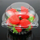 Disposable Reusable Muffin Cup Cake Holders Boxes Cases Set Plastic Cupcake