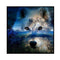 Full Cross Stitch Art Paint 11CT Counted Wolf Embroidery Wall Hanging Ornament