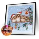 5D DIY Full Round Drill Diamond Paint Xmas Owls Mosaic Rhinestone Art Picture