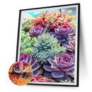 5D Succulents Plant Kit Full Square Drill Rhinestone DIY Diamond Painting Cra