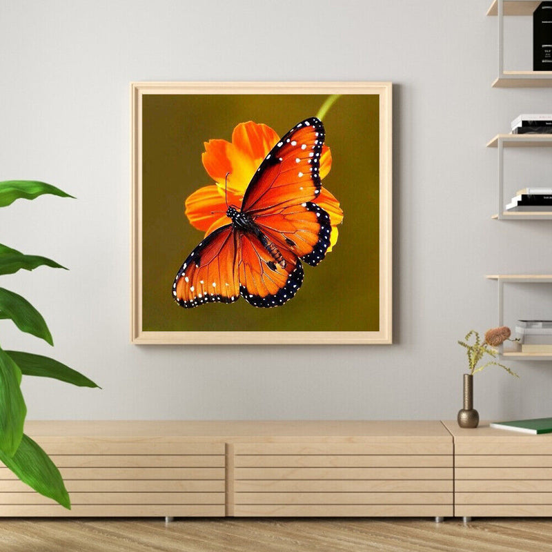 5D DIY animal butterfly full circle diamond painting diamond E755