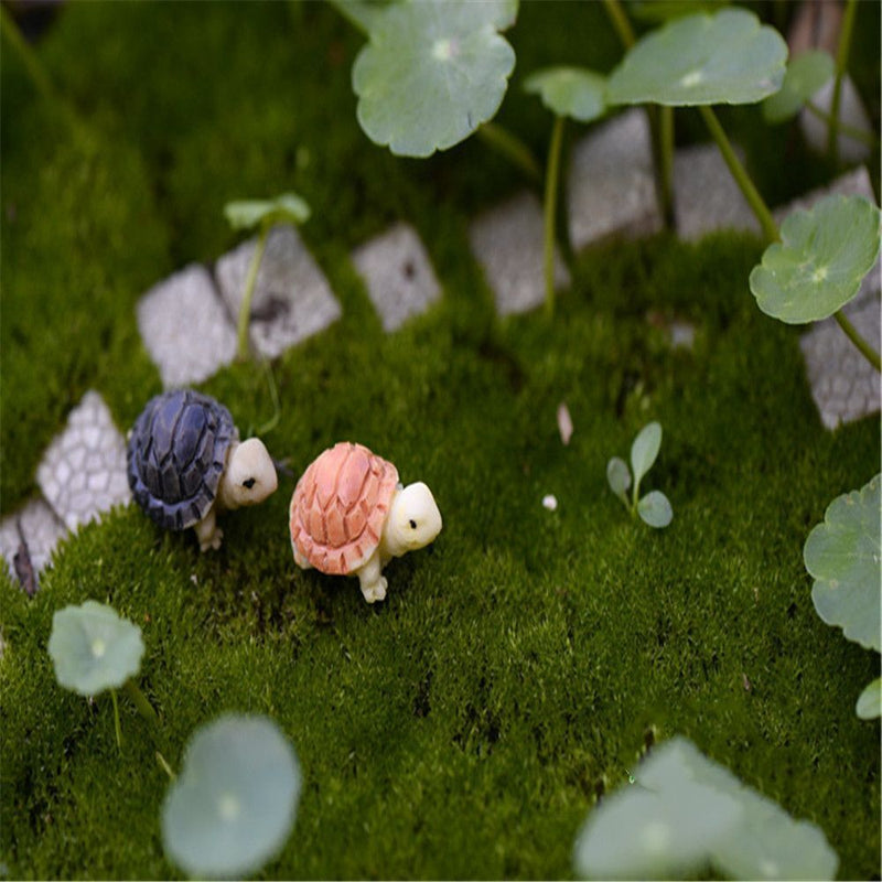 DIY Crafts Garden Bonsai Moss Tank Decor Ornaments Mini Turtles Fish Decoration