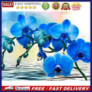 5D Diamond Painting Flower Full Round Drill DIY Wall Crafts Home Decoration K