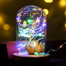 2m LED String Light Fairy Night Christmas Garland Room Decor (Color Light) Newly