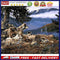 DIY Digital Painting By Numbers Kits Modern Wolf Frameless Canvas Color Pictu