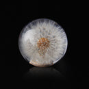 70MM Head Crystal Ball Dandelion Real Flowers Shift Knob Universal Shift Head