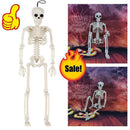 Poseable Human Skeleton Prop Halloween Party Decoration Plastic Durable C9C0