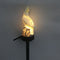 Solar Power LED Parrot Lawn Light Waterproof Garden Landscape Lamp (Yellow)