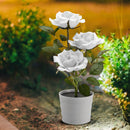 #A 3LED Rose Flower Solar Light Bonsai Flowerpot Garden Indoor Balcony Decor Lam