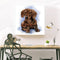 5D DIY Full Drill Diamond Painting Logy Dog Embroidery Needlework Wall Decor