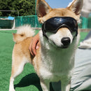Pet Dog Glasses Goggles UV Protection Soft Frame Pets Sunglasses (Black) Newly