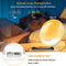 Wake Up Alarm Clock Sunrise Sunset FM Radio Digital Desk Nightlight (EU)