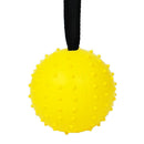 Pet Ball Bite Resistant Tooth Cleaning Toys for Dog Training Chew(Yellow L)