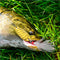 #A 10pcs Metal VIB Fishing Lure Sequins Jigging Spoon Vibration Bait Fishing Tac