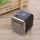 TD-V26 Mini 1.0 inch Radio FM Digital Portable Speakers w/FM Radio Receiver Supp