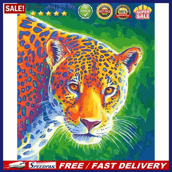 Color Oil Painting By Numbers Kits Handmade Canvas DIY Art Picture Modern Dec