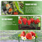 Strawberry Stand Balcony Vegetables Fruit Climbing Pillar Gardening Bracket