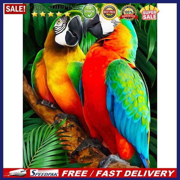 Oil Paint By Numbers Animal Parrot DIY Painting Kit Wall House Art Drawing