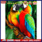 Oil Paint By Numbers Animal Parrot DIY Painting Kit Wall House Art Drawing
