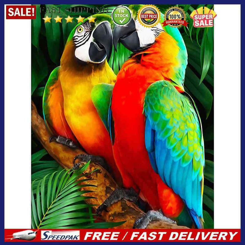 Oil Paint By Numbers Animal Parrot DIY Painting Kit Wall House Art Drawing
