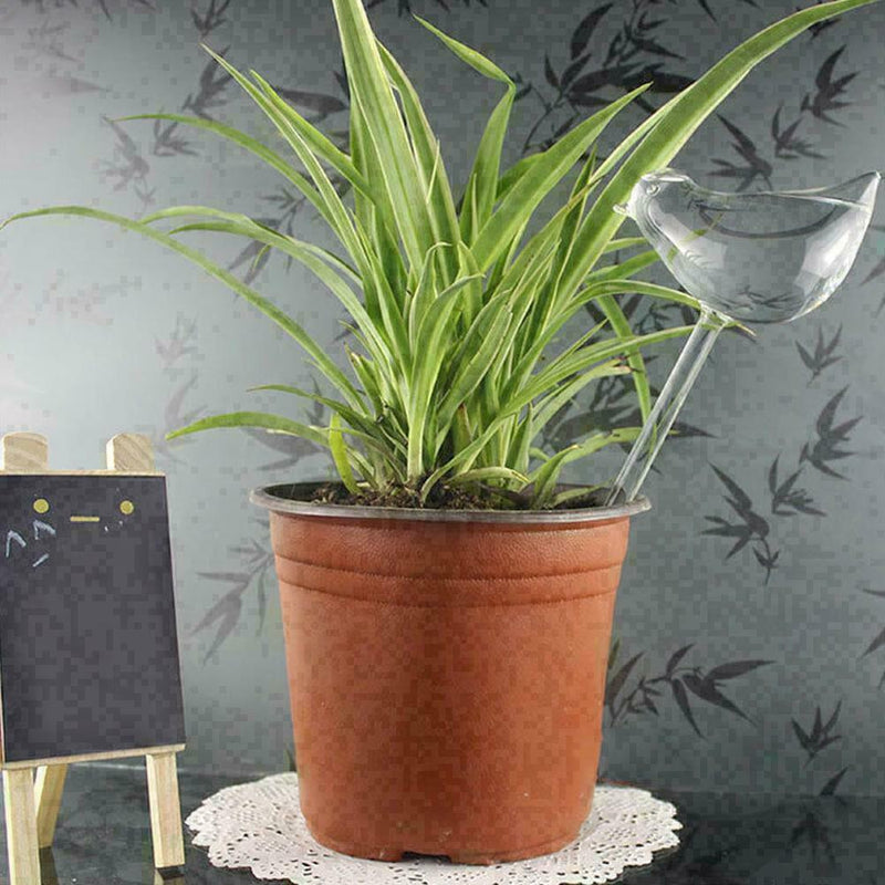 Small Bird Glass Watering Device For Household Balcony S1T5 2021 HOT! W7E4