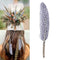 1pcs Goose Feathers Arts Crafts Hat Costume Wedding DIY 10-15cm Craft F4D2 Z5P4